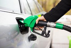 Modeling French fuel taxes