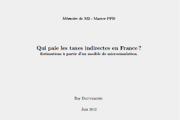 Who pays indirect taxes in France? Roy Dauvergne