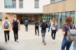 Ségrégation sociale en milieu scolaire : appréhender ses causes et déterminer ses effets