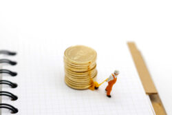 MWTT – Minimum wages, taxes and transfers, and low-income workers