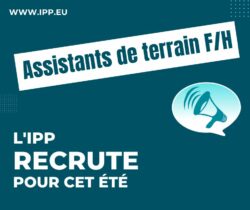 L’IPP recrute deux assistants de terrain F/H pour cet été sur la thématique santé et autonomie