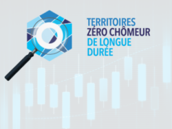 L’ expérimentation « Territoires zéro chômeur de longue durée » : analyse quantitative des entreprises à but d’emploi et de leurs salariés