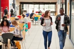 Orientation post-bac : les choix des anciens élèves du lycée influencent-ils ceux des générations suivantes ?